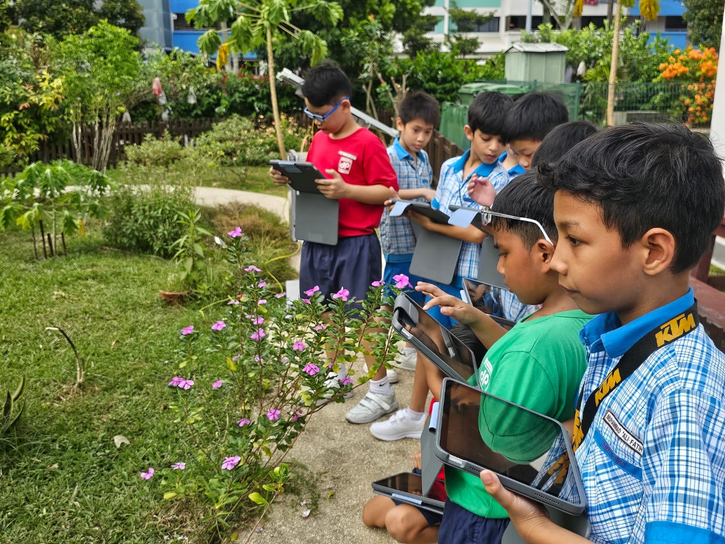 Students using the iPads to record their observations in the school's science garden.